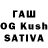 Псилоцибиновые грибы GOLDEN TEACHER Diya Kais