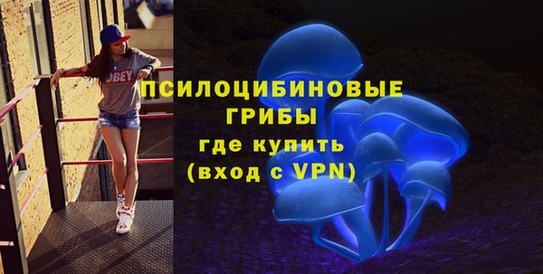 MDMA Новозыбков