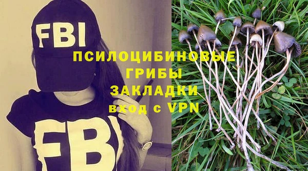 прущая мука Нея