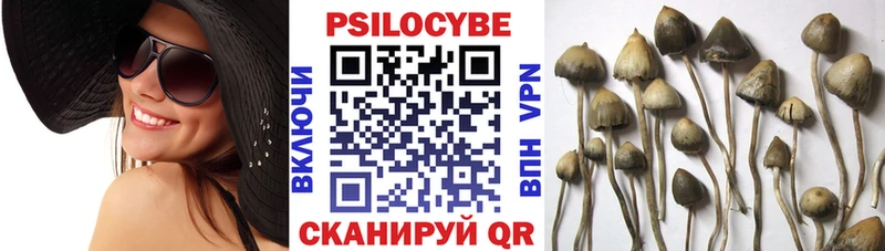 гидра зеркало  Полярный  Галлюциногенные грибы прущие грибы 